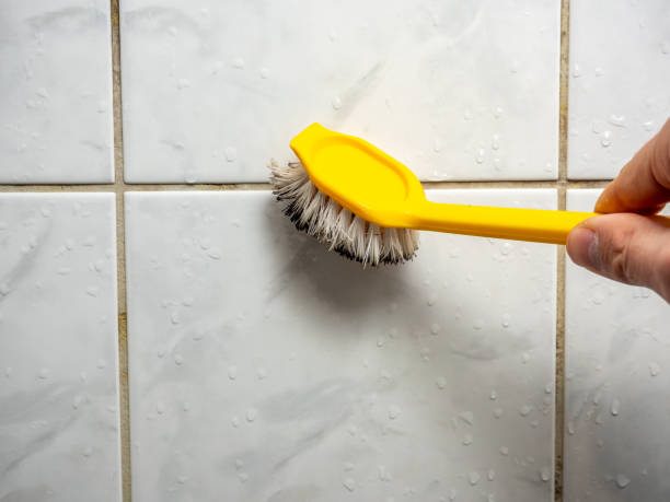 Trusted Bristol, VA Mold Removal Experts