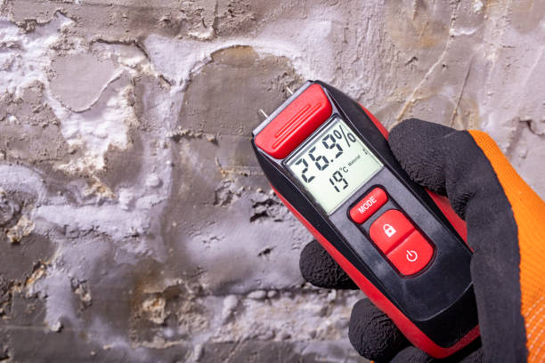 Best Toxic Mold Removal  in Bristol, VA